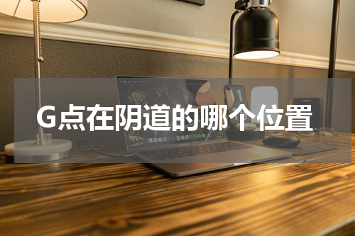 G点在阴道的哪个位置