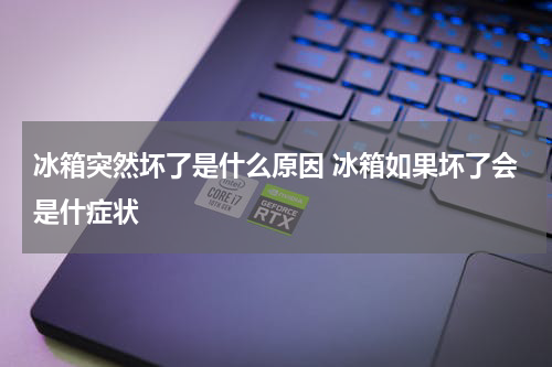 冰箱突然坏了是什么原因 冰箱如果坏了会是什症状