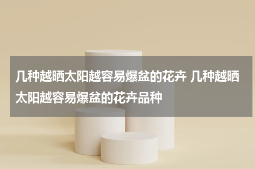 几种越晒太阳越容易爆盆的花卉 几种越晒太阳越容易爆盆的花卉品种