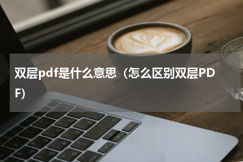 双层pdf是什么意思（怎么区别双层PDF）