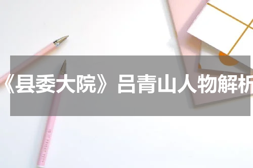 《县委大院》吕青山人物解析