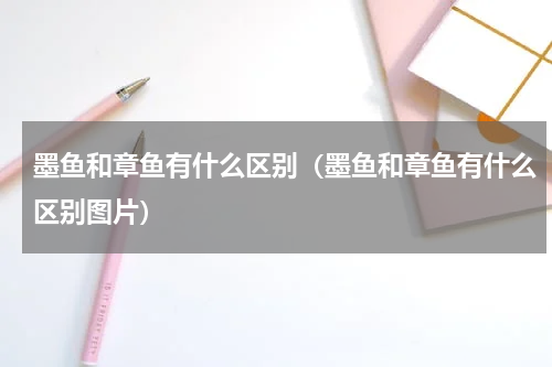 墨鱼和章鱼有什么区别（墨鱼和章鱼有什么区别图片）