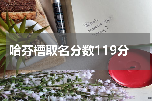 哈芬槽取名分数119分