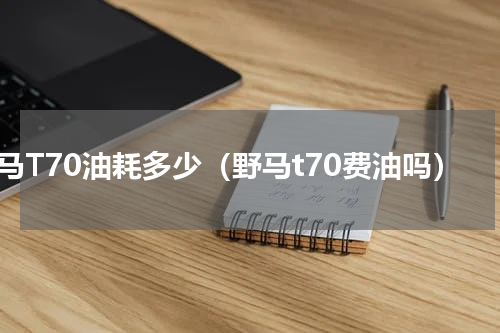 野马T70油耗多少（野马t70费油吗）