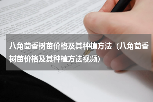 八角茴香树苗价格及其种植方法（八角茴香树苗价格及其种植方法视频）