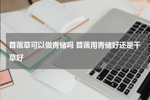 苜蓿草可以做青储吗 苜蓿用青储好还是干草好