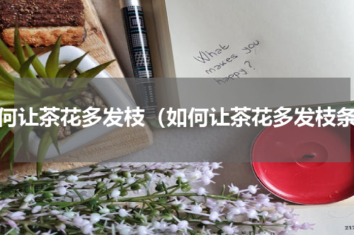 如何让茶花多发枝（如何让茶花多发枝条）