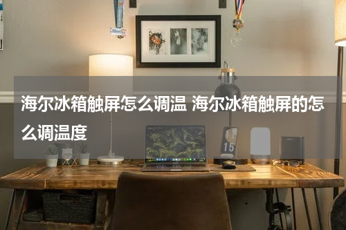 海尔冰箱触屏怎么调温 海尔冰箱触屏的怎么调温度