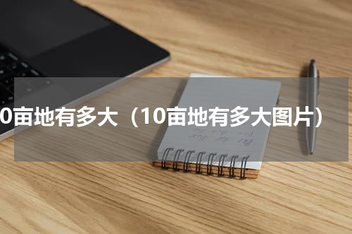 10亩地有多大（10亩地有多大图片）
