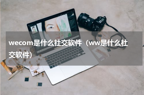 wecom是什么社交软件（ww是什么社交软件）
