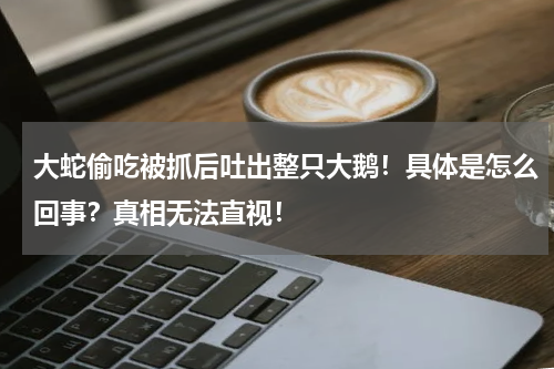 大蛇偷吃被抓后吐出整只大鹅！具体是怎么回事？真相无法直视！