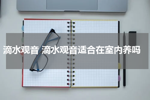 滴水观音 滴水观音适合在室内养吗