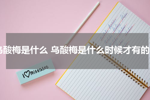 乌酸梅是什么 乌酸梅是什么时候才有的