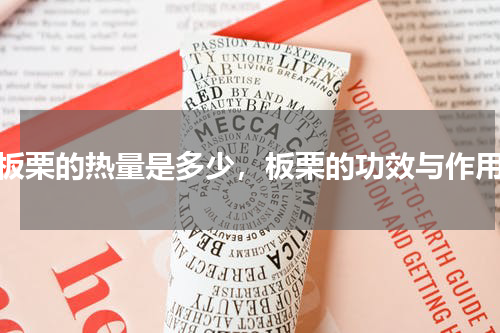 板栗的热量是多少，板栗的功效与作用