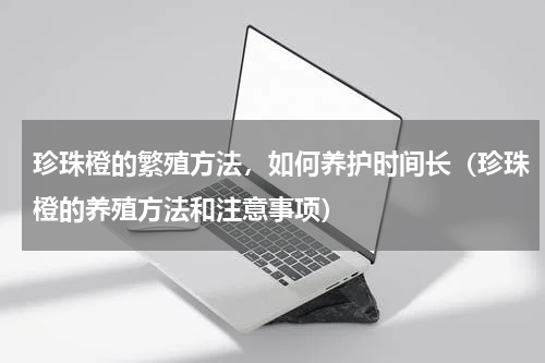 珍珠橙的繁殖方法，如何养护时间长（珍珠橙的养殖方法和注意事项）