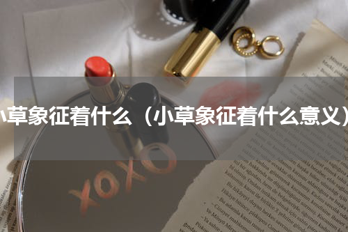 小草象征着什么（小草象征着什么意义）