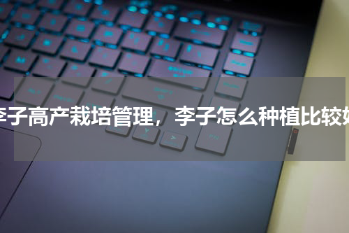 李子高产栽培管理，李子怎么种植比较好