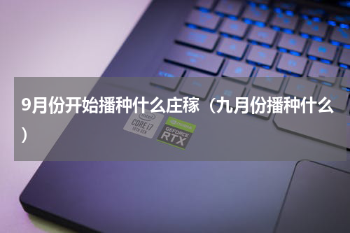 9月份开始播种什么庄稼（九月份播种什么）