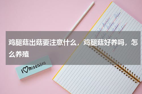 鸡腿菇出菇要注意什么，鸡腿菇好养吗，怎么养殖