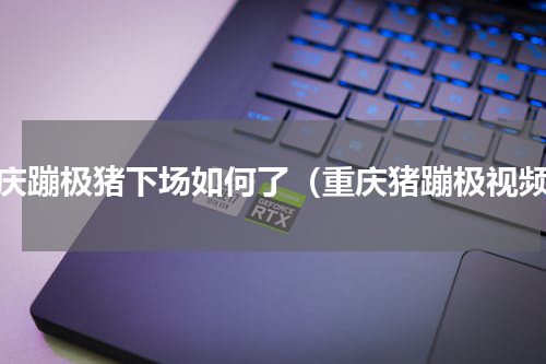 重庆蹦极猪下场如何了（重庆猪蹦极视频）