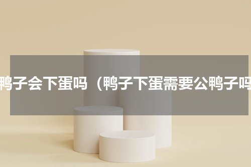 公鸭子会下蛋吗（鸭子下蛋需要公鸭子吗）