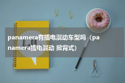 panamera有插电混动车型吗（panamera插电混动 掀背式）