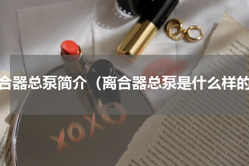 离合器总泵简介（离合器总泵是什么样的）