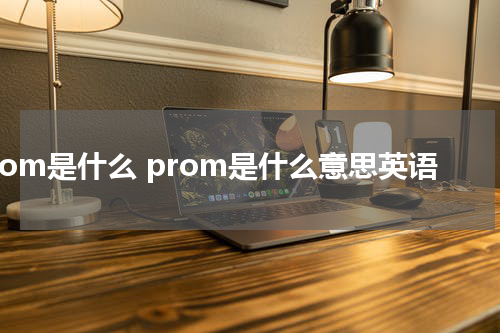 prom是什么 prom是什么意思英语