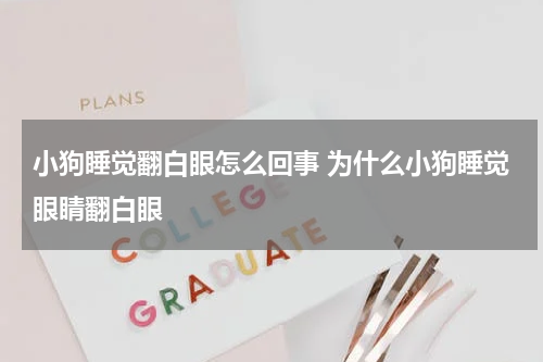 小狗睡觉翻白眼怎么回事 为什么小狗睡觉眼睛翻白眼