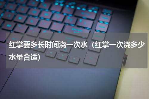 红掌要多长时间浇一次水（红掌一次浇多少水量合适）