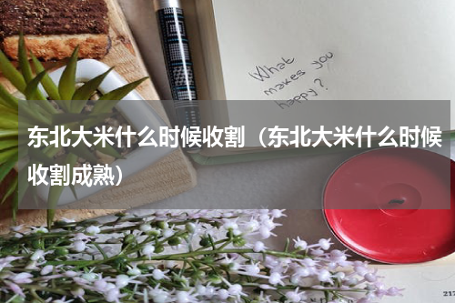 东北大米什么时候收割（东北大米什么时候收割成熟）