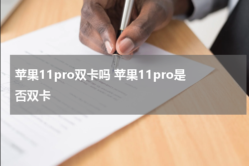 苹果11pro双卡吗 苹果11pro是否双卡