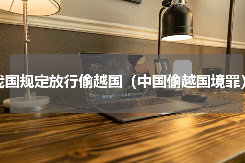 我国规定放行偷越国（中国偷越国境罪）