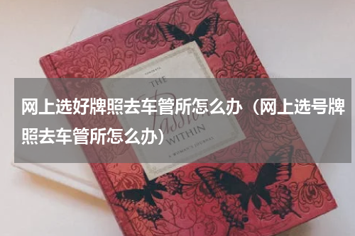 网上选好牌照去车管所怎么办（网上选号牌照去车管所怎么办）