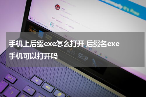 手机上后缀exe怎么打开 后缀名exe手机可以打开吗