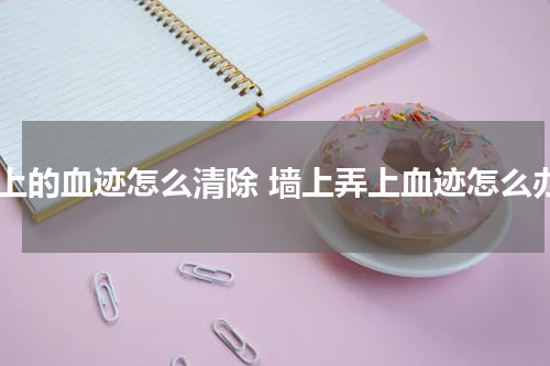 墙上的血迹怎么清除 墙上弄上血迹怎么办