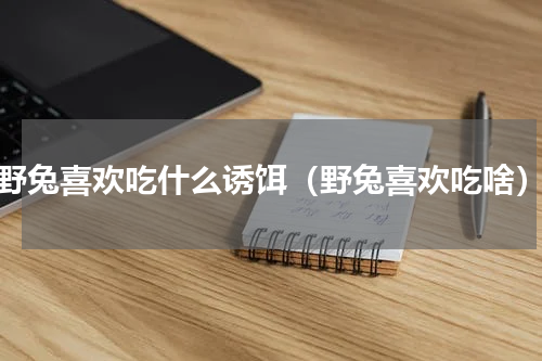 野兔喜欢吃什么诱饵（野兔喜欢吃啥）