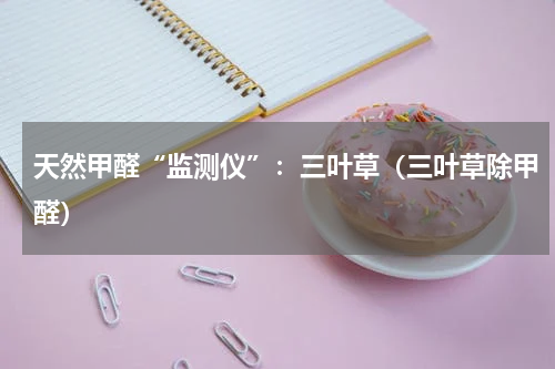 天然甲醛“监测仪”：三叶草（三叶草除甲醛）