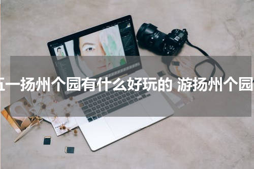 五一扬州个园有什么好玩的 游扬州个园