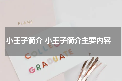 小王子简介 小王子简介主要内容