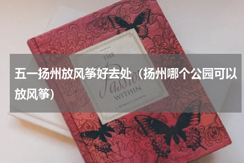 五一扬州放风筝好去处（扬州哪个公园可以放风筝）