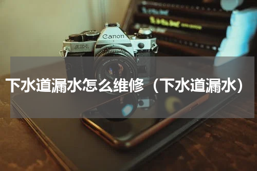下水道漏水怎么维修（下水道漏水）