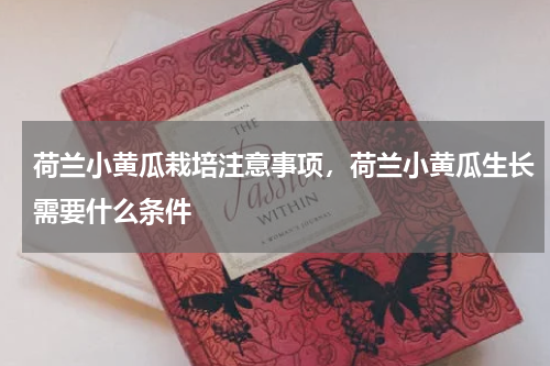 荷兰小黄瓜栽培注意事项，荷兰小黄瓜生长需要什么条件