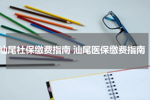 汕尾社保缴费指南 汕尾医保缴费指南