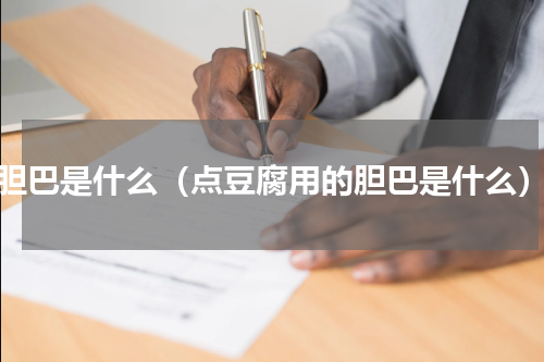 胆巴是什么（点豆腐用的胆巴是什么）