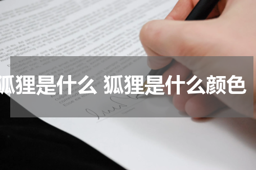 狐狸是什么 狐狸是什么颜色