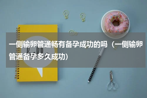 一侧输卵管通畅有备孕成功的吗（一侧输卵管通备孕多久成功）