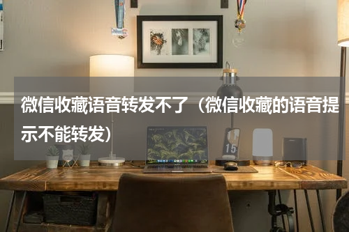 微信收藏语音转发不了（微信收藏的语音提示不能转发）