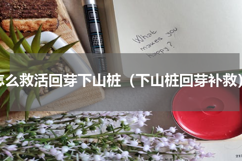 怎么救活回芽下山桩（下山桩回芽补救）