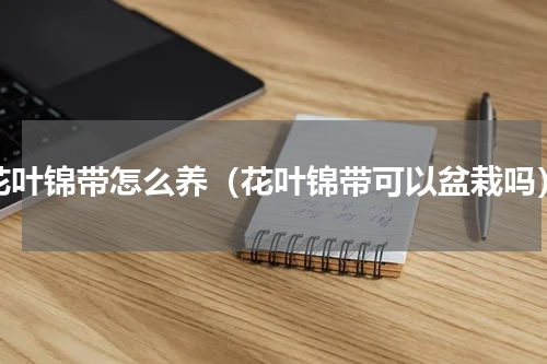 花叶锦带怎么养（花叶锦带可以盆栽吗）